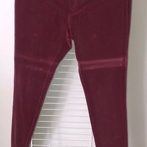 MK Velvet like legging